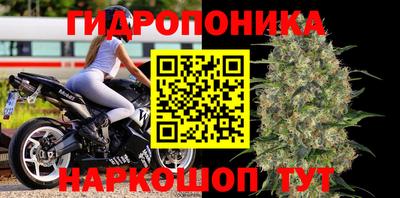 кокс Бийск